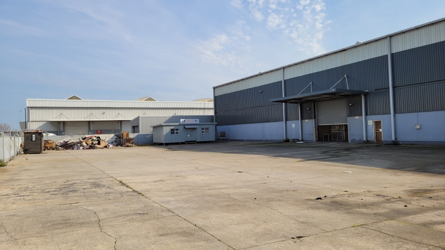 To Let commercial Property for Rent in Montague Gardens Western Cape